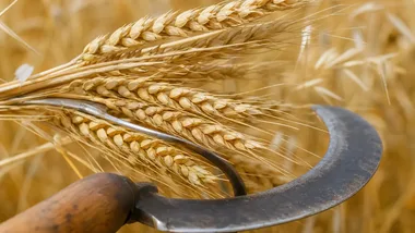 22 sołectwa z gminy Pasłęk nominowane w plebiscycie Mistrzowie Agro