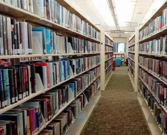 Listopadowe popołudnia z książką: zajęcia i warsztaty dla najmłodszych w Elblągu.