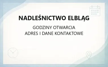 Nadleśnictwo Elbląg - kontakt, godziny, informacje