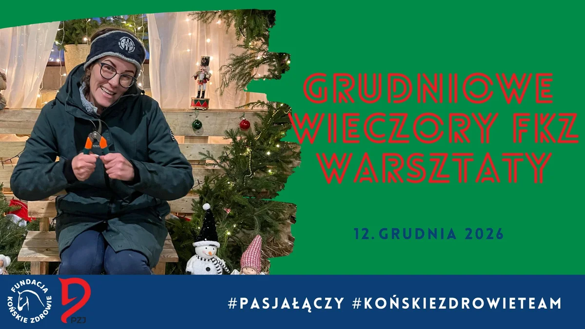 Grafika promocyjna wydarzenia GRUDNIOWE WIECZORY FKZ 2026 przy kominku