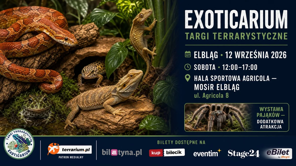 Grafika promocyjna wydarzenia Targi Terrarystyczne Exoticarium — Elbląg