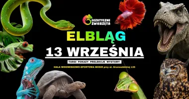 Grafika promocyjna wydarzenia ELBLĄG 13 WRZEŚNIA – Egzotyczne zwierzęta