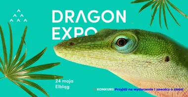 Grafika promocyjna wydarzenia Dragon Expo — Event Terrarystyczny i Botaniczny w Elblągu