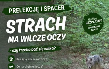 Grafika promocyjna wydarzenia Prelekcja i spacer o wilkach w Kadynach