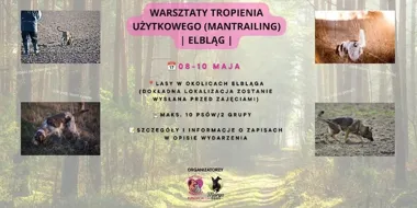 Grafika promocyjna wydarzenia WARSZTATY TROPIENIA UŻYTKOWEGO | MANTRAILING | ELBLĄG