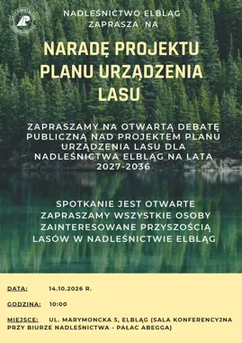 Otwarta debata o lasach Nadleśnictwa Elbląg. Jest termin spotkania