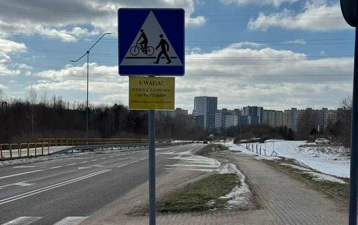 Wyznaczono strefę zakażenia po wykryciu HPAI u dzikich ptaków – jakie będą ograniczenia