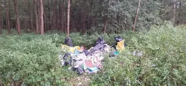 Nielegalne odpady w lesie pod Elblągiem. Osoba odpowiedzialna ustalona