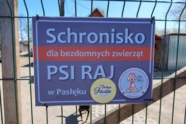Czwarta zbiórka karmy w Przezmarku – w schronisku padły ważne słowa o pomocy