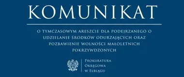 Tymczasowy areszt dla 26-latka. Zarzuty dotyczą dwojga małoletnich
